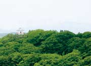 屋上より、千秋公園の久保田城御隅櫓（おすみやぐら）を望む