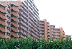 ロイヤルアーク姪浜（福岡市）