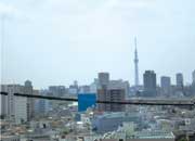 マンションの屋上からは東京スカイツリーが見える