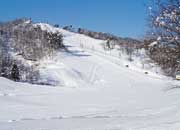 スキー発祥の地といわれている金谷山