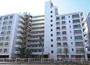 亀戸リリエンハイム(東京都江東区)