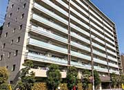 グランソシア辰巳の森海浜公園（東京都江東区）