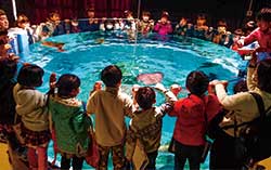 学校の遠足で来館し、エイへの餌やりを見学する子どもたち。にぎやかな声が校舎内に響く