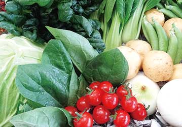 静岡産の野菜セット
