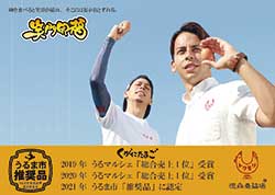 うるま市観光大使(非公認)として、沖縄県内で活躍の幅を広げている、ハーフで農家の兄弟「ノーマンブラザーズ」。YouTubeチャンネルやTikTokも配信している