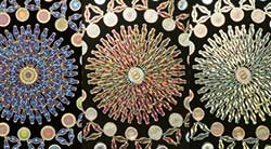 光のあて方で色が変化する作品（約1mm）