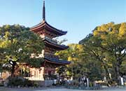 甚目寺観音　三重塔