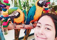 得意のDIYで飼育室の内装もお手のもの。達人の腕前はYouTubeでも公開されている