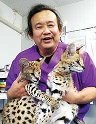 診察にきたサーバルキャットと