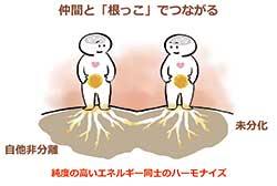【図②】仲間とも肩書ではなく、人として「根っこ」でつながっていきます