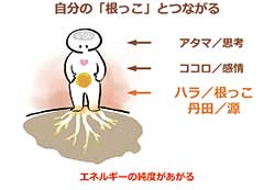 【図①】アタマではなく、ココロでもなく、その奥のハラであり、自分の根っこ、丹田、源につながっていく