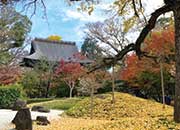 紅葉の九品仏浄真寺