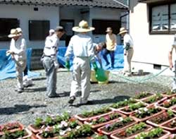 「花の散歩道」で使うプランターの植え替え作業の様子