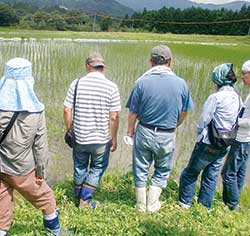 草の庭有機農業塾での圃場見学