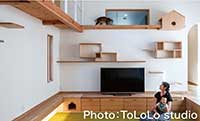 キャットウォークや隠れ家など猫が喜ぶ工夫がたくさんあるリビング