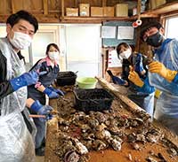 実習生（リハ、看護、ヨガ）。真珠工場での手伝い