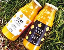 おひるねしていた畑で、農薬や肥料を使わずに栽培したみかんで作った「おひるねみかんジュース」