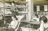 津田塾大学の図書館にて。立って本を読んでいるのが本人