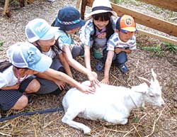 ヤギのぜんちゃんに会いにきた子どもたち