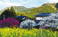 ときがわの春の里山風景