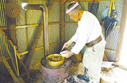 じゅんさい畑の小屋内部