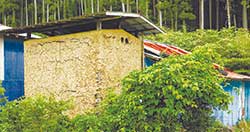 こんにゃく芋を保管していた土壁の小屋