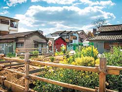 飲食店以外にも、市民向け貸し農園『がもよんファーム』の運営なども行っている