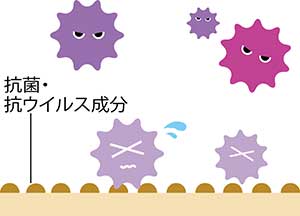 抗菌・抗ウイルス加工のイメージ