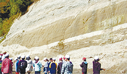博物館近くの地層観察場所。博物館近くでは約300万～250万年前の地層が観察できる