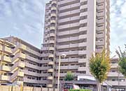スペリア弥富Ⅱ(愛知県弥富市)