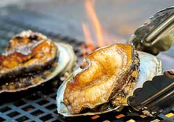 近海の魚介や質の良い食材を焚き火で豪快に味わっていただく。鮮度の良い食材は地元業者から毎日届く