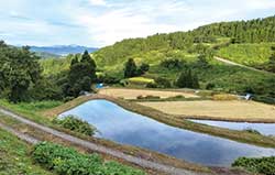 棚田の美しい風景が広がる新潟県の旧山古志村（現長岡市）。電子住民票を導入し、1,000人以上もの「デジタル村民」が生まれた