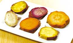 紅きららなど、新潟県産のマニアックな焼きイモ