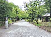 飛鳥山公園