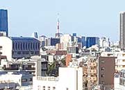 マンションからの眺め。東京タワーを望むことができる