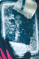 作品についた霜を取る