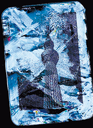 特殊なライトアップで氷の結晶構造ごと作品にする