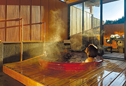 湯宿温泉 太陽館（群馬県みなかみ町）の貸切風呂