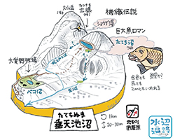 図鑑用に作成した鳥瞰図の一つ。模型のような図とすることで、地形や水の流れを分かりやすく示しつつ、その土地の伝説なども織り込んでいる